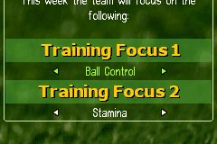FIFA Manager 08 8